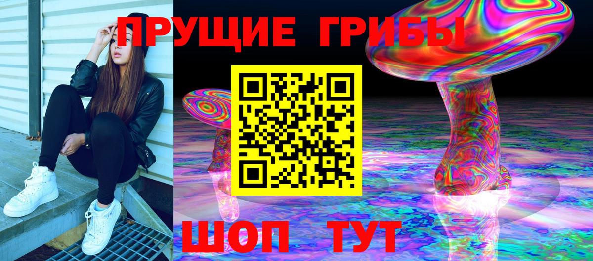 Сергиев Посад  Галлюциногенные грибы Cubensis  Галлюциногенные грибы Cubensis  цены   Вход с VPN 