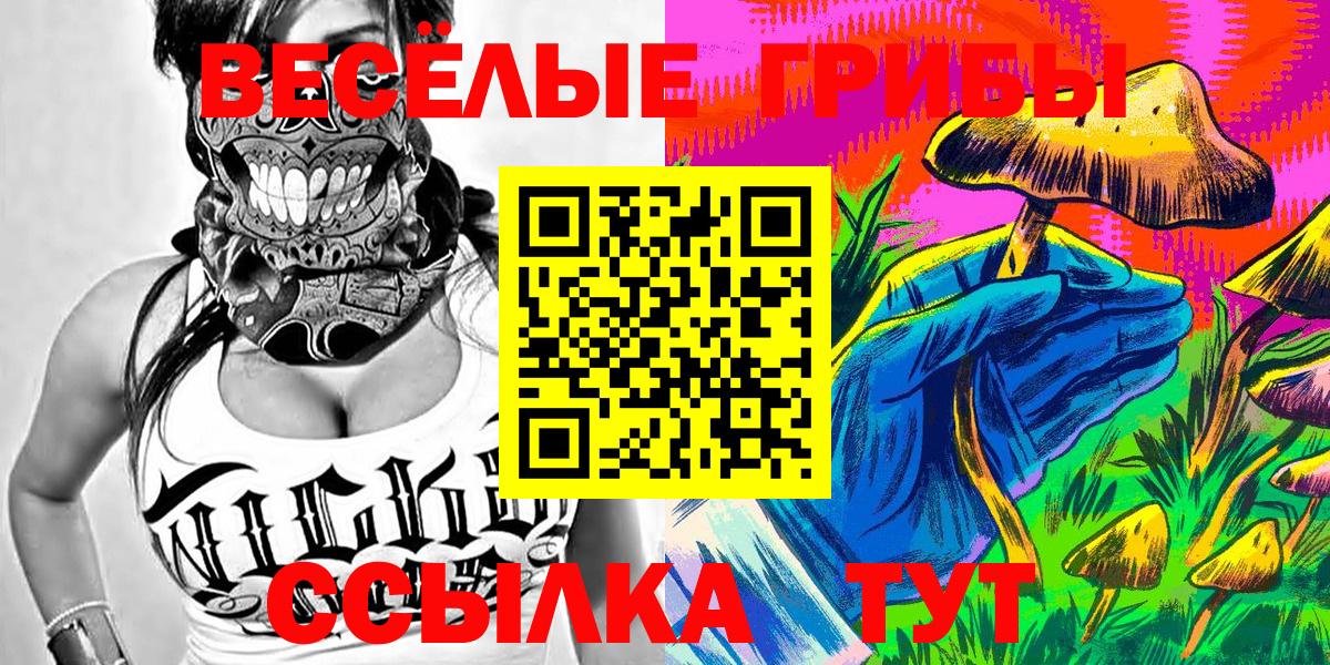 Галлюциногенные грибы Cubensis Сергиев Посад